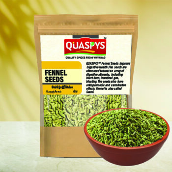 FENNEL SEEDS / SAUNF