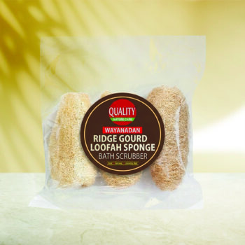 RIDGE GOURD BATH SCRUBBER / PEECHINGHA CHAKIRI